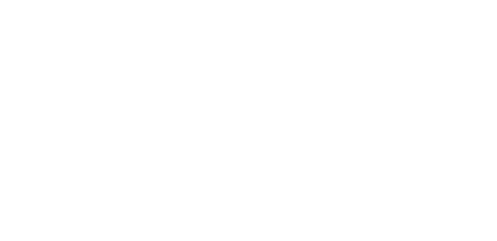 ORIGINAL PROJECT